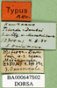 CollectionObject 1502768; 164253f4-b48f-422a-9f56-a27b81797d71: labels (paratype). (CollectionObject).