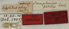 CollectionObject 1535224; 9444af8a-723b-4feb-8f94-bf6c4d147194: labels (lectotype). (CollectionObject).