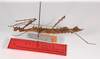 CollectionObject 1563578; 990093f4-dcf6-4009-af42-8f4f245cbba7: copyright ZMB, Berlin. female, lateral view (paratype). (CollectionObject).