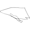 Pygofer, lateral view: !! display not done !! on Agudus cyrtobrachium Cheng, 1980: Pygofer, lateral view. (Observation).