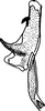 Aedeagus, lateral view on Discolopeus diacaenus Stiller, 2019: Aedeagus, lateral view. (Observation).