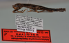 CollectionObject 1563141; 962a9609-c023-46f7-ba95-d56b44888008: copyright USNM, Washington. (CollectionObject).