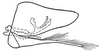 Pygofer, lateral view: !! display not done !! on Osbornellus (Osbornellus) auronitens (Provancher, 1889): genital capsule, laterally. (Observation).