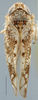 Habitus, dorsal view on Allotapes Emeljanov, 1964: Allotapes nigrifacies, dorsally (INHS). (Observation).