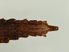 CollectionObject 1557494; 0d03674a-ddd1-4b95-b1d9-146dea69e66f: copyright USNM, Washington. (CollectionObject).