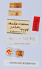CollectionObject 1540494; c62d6514-f587-4966-a28e-a67e7aad28dd: labels (holotype). (CollectionObject).