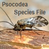 Psocodea Species File