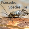 Psocodea Species File
