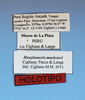 CollectionObject 1514172; f387e102-2a78-4152-b99a-1464d10522f1: labels (holotype). (CollectionObject).
