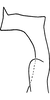 Stylus: !! display not done !! on Eratoneura mensa (Beamer, 1931): Stylus. (Observation).