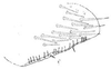 Pygofer, lateral view: !! display not done !! on Bergolix Linnavuori, 1959: pygofer, median aspect. (Observation).