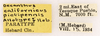 CollectionObject 1966223; fac95764-1668-4032-bb15-ab790dad88cb: Female, labels (paratype). (CollectionObject).