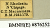 CollectionObject 1572872; 075b3936-f0f1-4708-bdb2-c593b0f99fc8: Copyright Natural History Museum, London. Labels from non-type (adult male) in BM(NH). (CollectionObject).