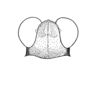 Arexion suavis Rehn, 1930: Plate 21, Fig. 6 (after allotype). male head, dorsal view. (Otu).