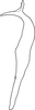 Stylus on Anufrievia anchoroides Lin & Zhang, 2021: lateral view. (Observation).