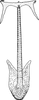 Aedeagus, ventral view on Diplocolenus (Verdanus) Oman, 1949: Aedeagus, ventral view. (Observation).
