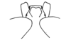 Saltonacris cymae Descamps, 1976: Fig. 303. female fastigium, dorsal view. (Otu).