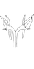 Aedeagus, ventral view on Eurhadina (Singhardina) rubrivittata Chiang, Hsu & Knight, 1989: Aedeagus, caudal view. (Observation).