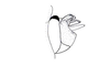 Pseudovilerna reducta (Brunner von Wattenwyl, 1900): Fig. 56. end of phallic complex, lateral view. (Otu).