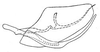 Pygofer, lateral view: genital capsule, laterally. (Observation).