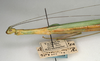 CollectionObject 1560081; NMW 1038, aba938c4-9bd8-45e9-a7af-9049b23addae: copyright NMW, Vienna. female: head and thorax, lateral view (holotype). (CollectionObject).