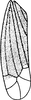 Forewing on Empoa (Empoides) punicea (Matsumura, 1932): Forewing. (Observation).