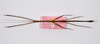 CollectionObject 1563550; bfb9e8eb-68cd-47e7-9bf5-020a04d33bcc: copyright ZMHB, Berlin. male, dorsal view of synonym Lonchodes hosei herberti (paratype). (CollectionObject).;CollectionObject 1563551; 60deb753-84a1-4d22-b2db-de0ab1b94a70: copyright ZMHB, Berlin. male, dorsal view of synonym Lonchodes hosei herberti (paratype). (CollectionObject).