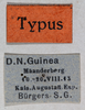 CollectionObject 1501042; d6bd2341-9d36-4847-a01b-650e06ba1382: labels (holotype of Desmopterina elegans). (CollectionObject).