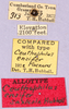 CollectionObject 1499646; b6e57190-a829-4bbf-a803-8a2da5b2104b: labels (allotype). (CollectionObject).