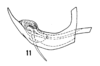 Aedeagus, lateral view: (Observation).