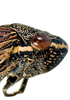 Head: Head and thorax in lateral view. U.S.A., Arizona, Huachuca Mts., OSAC. (Observation).
