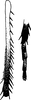 Other: !! display not done !! on Zygina (Zygina) rubrovittata (Lethierry, 1869): Tibia and tarsus (male). (Observation).