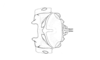 Hazelacris nigrovittatus Ronderos, 1981: Fig. 16. phallic complex, dorsal view. (Otu).