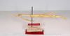 CollectionObject 1559318; 5318f452-c1cc-4d8b-ba89-4d4568f43735: copyright MNCH, Madrid. female, lateral view (paralectotype). (CollectionObject).;CollectionObject 1559319; 4145f06e-6e37-4c0b-96c4-3380581d5a02: copyright MNCH, Madrid. female, lateral view (paralectotype). (CollectionObject).