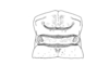 Brakeracris varablancensis Rowell, 1995: Fig. 4C. male pronotum, dorsal view. (Otu).