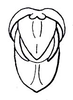 Acocksacris karruensis Dirsh, 1958: Fig. 4 (after Dirsh 1958). male abdomen tip, dorsal view. (Otu).