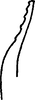 Stylus on Distantasca tiaca (Dworakowska, 1994): Stylus, ventral view. (Observation).