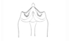 Baeacris morosa (Rehn, 1905): Fig. 43. female, subgenital plate. (Otu).