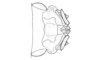 Maeacris aptera Ronderos, 1983: Fig. 8. aedeagus, dorsal view. (Otu).