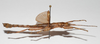 CollectionObject 1562664; af1cb1ce-3b64-49ed-a944-4301fb25b63a: copyright Marco Gottardo. Holotype male, lateral view. (CollectionObject).