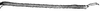Head.: Hind tibia of A. thaspii. (Observation).
