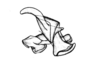 Intiacris nigroapiculatus Ronderos & Cigliano, 1989: Fig. 6. cingulum and endophallus, lateral view. (Otu).