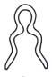 Erucius (Erucius) dimidiatipes dimidiatipes Bolívar, 1898: Fig. 2.4. penis. (Otu).