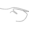 Pygofer, lateral view: Pygofer (holotype, lateral view. (Observation).
