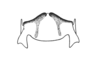 Mastusia quadricarinata Stål, 1878: Fig. 25D. epiphallus, dorsal view. (Otu).