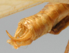 CollectionObject 1517507; e6730bbf-9a26-4d89-93ec-d417b3db7da4: male cerci (holotype). (CollectionObject).