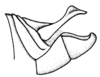 Scotussa daguerrei Liebermann, 1947: Fig. 101. male abdomen tip, lateral view. (Otu).