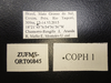 CollectionObject 2242684; 25e8fc80-5af1-4572-89c8-4f152e0d94af, ZUFMS ORT-00845: Specimen labels. (CollectionObject).