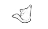 Neuquenina fictor (Rehn, 1943): Fig. 47. epiphallus, lateral view. (Otu).