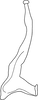 Stylus: !! display not done !! on Aparaphysis lushuiiensis Duan & Zhang, 2013: Stylus. (Observation).